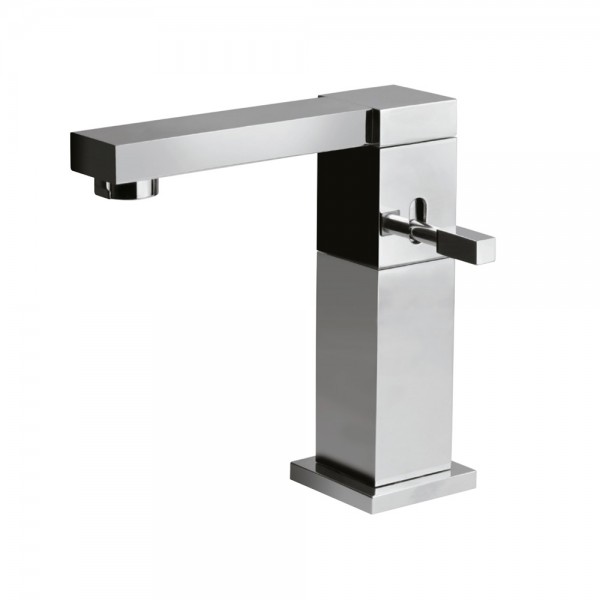 Single Lever Basin Mixer with Swivel Spout