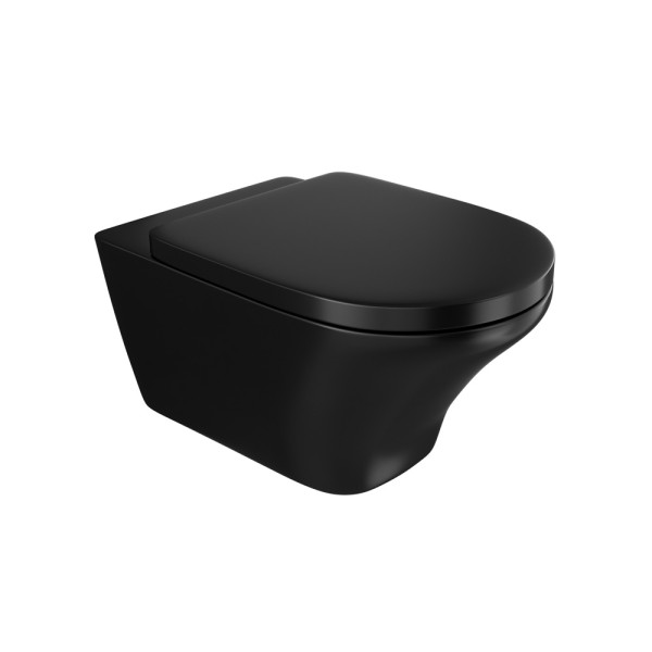 Rimless Wall Hung WC