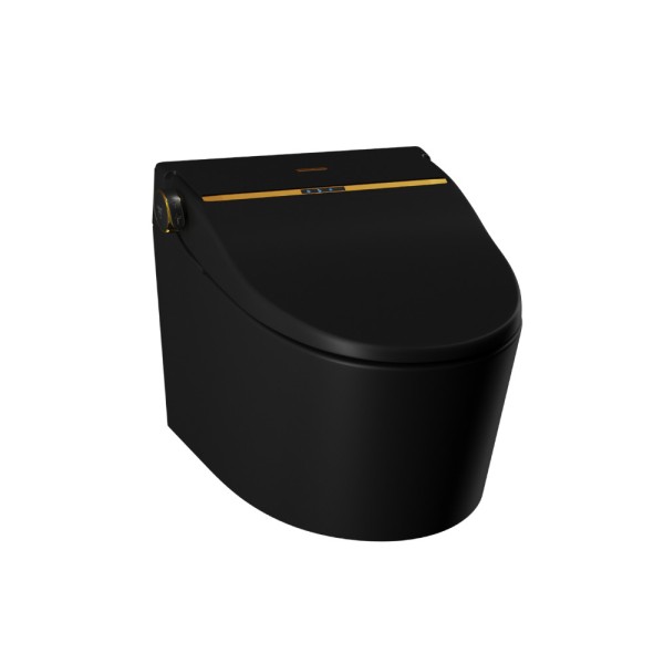 Fully Automatic Rimless Wall Hung WC