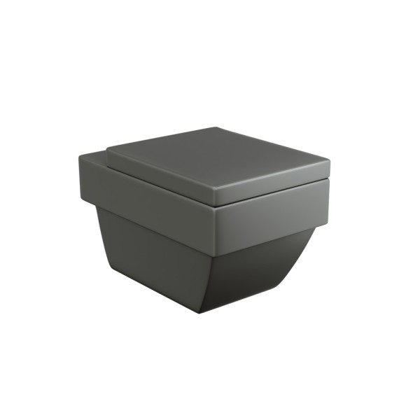 Rimless Wall Hung WC