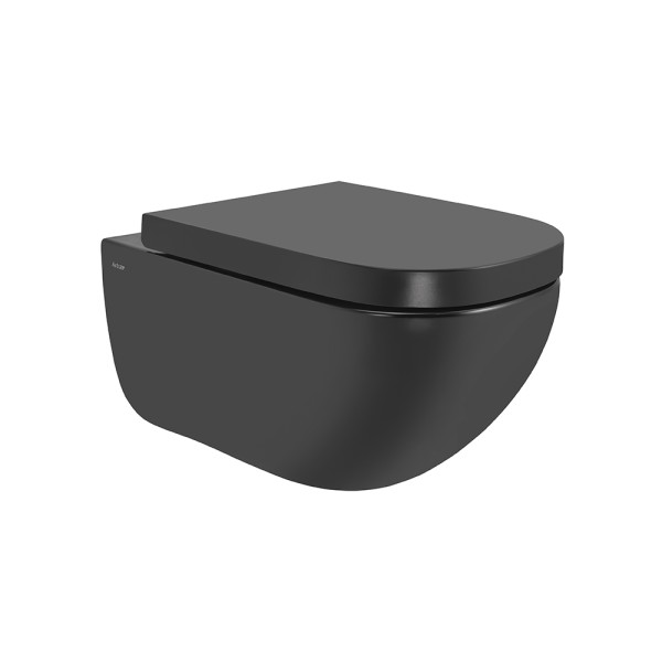 Rimless Wall Hung WC